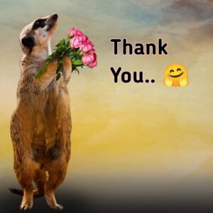 funny thank you images